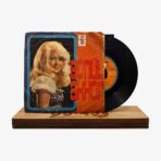 Gönül Akkor Bana Neler Vadettin / Aşk Fırtınası Plak | 3345 Records