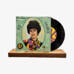 Neşe Karaböcek Damarımda Kanımsın / Eyvah Plak | 3345 Records