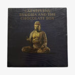 Cat Stevens Buddha And The Chocolate Box Plak | 3345 Records