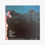 Plak - Palmiyeler | II Venüs Limited 45 Numara - Görsel 2