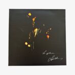 Sezen Aksu Sen Ağlama Plak | 3345 Records