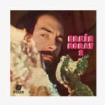 Erkin Koray Erkin Koray 2 Plak | 3345 Records