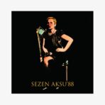 Plak - Sezen Aksu | 88 - Görsel 2