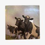 Plak - Pink Floyd | Atom Heart Mother - Görsel 3