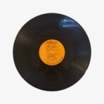 Plak - Elvis Presley | Raised On Rock / For Ol' Times Sake - Görsel 4