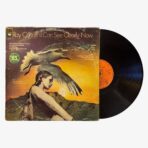 Ray Conniff And The Singers I Can See Clearly Now Plak | 3345 Records