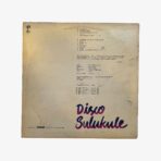 Plak - İstanbul Çalgıcıları / İstanbul Şarkıcıları | Disco Sulukule - Görsel 3
