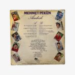 Plak - Mehmet Pekün | Halim Perişan - Görsel 3