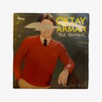Plak - Oktay Arman | Yaz Günleri - Görsel 2