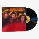 Bee Gees Spirits Having Flown Plak | 3345 Records