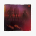 Plak - Bee Gees | Spirits Having Flown - Görsel 3