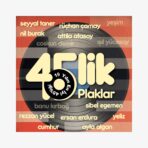 Plak - Çeşitli Sanatçılar | 45lik Plaklar