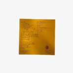 Plak - The Young Shaven | Honey Babe / It's Gone To Stay - Görsel 3