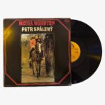 Petr Spálený Motel Nonstop Plak | 3345 Records
