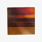 Plak - Neil Diamond | Jonathan Livingston Seagull (Original Motion Picture Sound Track) - Görsel 3