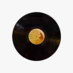Plak - Neil Diamond | Jonathan Livingston Seagull (Original Motion Picture Sound Track) - Görsel 4