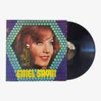 Emel Sayın Son 10 Yılın En Sevilen 10 Şarkısı Plak | 3345 Records