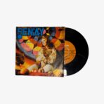 Şenay Hayat Bayram Olsa / Nen Var Canım Kardeşim Plak | 3345 Records