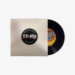 Neşe Karaböcek Nasıl Geçti Habersiz / Sevmekten Kim Usanır Plak | 3345 Records