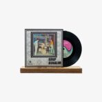 Vinyl record on a wooden stand with a patterned album cover showing a band playing on a stage.